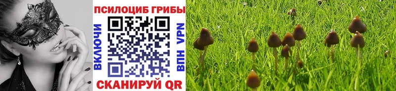 Псилоцибиновые грибы мухоморы Энем